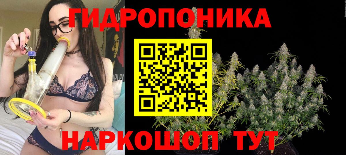 Марихуана сатива  Шишки марихуана планчик  Вход с VPN  Боровичи  Конопля MAZAR 